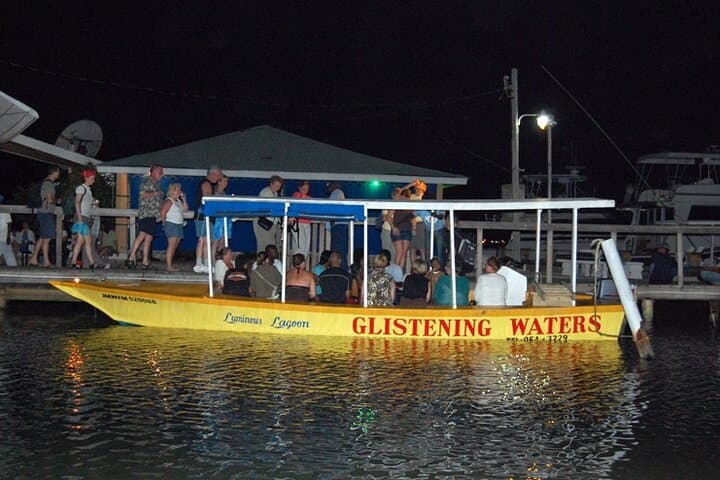Martha Brae Bamboo Rafting and Luminous Lagoon Night Swim from Ocho Rios photo 4