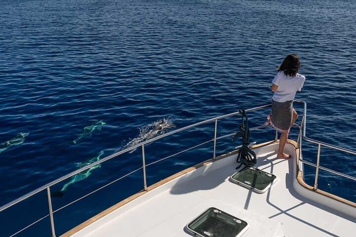Private Half-Day Catamaran Cruise to Kleftiko, Fyriplaka & Gerakas on Milos photo 2