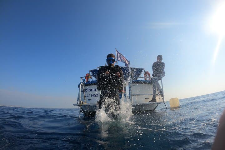 Snorkelling the Zenobia Wreck: Larnaca's Underwater Time Capsule photo 5