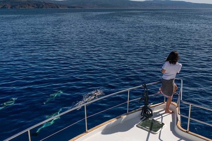 Private Full-Day Catamaran Cruise Around Milos: Kleftiko, Gerakas & Fyriplaka photo 2