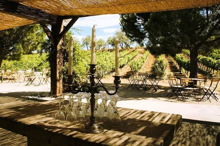 Roussillon Wine Tour: Collioure Vines, Picnic & Sweet-Wine Tastings photo 4