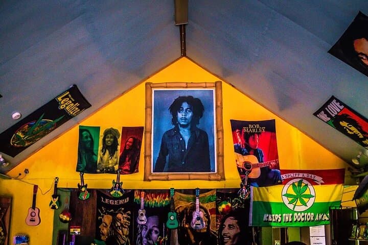 Kingston Day Trip: Bob Marley Museum and Kingston Sightseeing from Ocho Rios photo 3