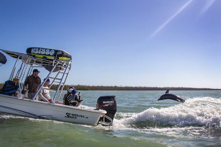 Marco Island Dolphin-Watching and Tubing: 10,000 Islands Wildlife Cruise photo 3