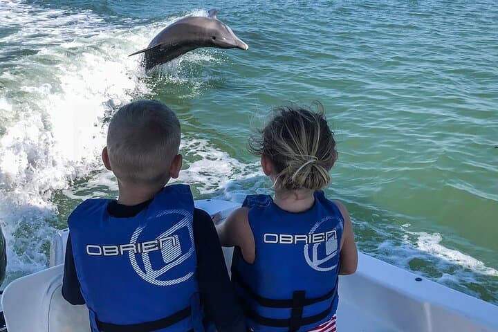 Marco Island Dolphin-Watching and Tubing: 10,000 Islands Wildlife Cruise photo 4