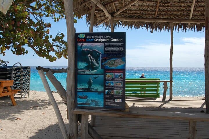 Clifton Heritage Beach Day: Private Bahamian Experience with Local Lunch photo 2