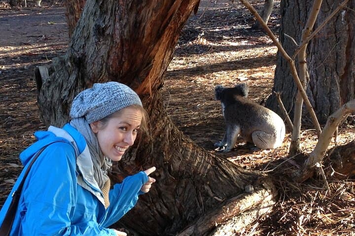 Guided Koala Walk and Bushfire Ecology Tour on Kangaroo Island photo 5