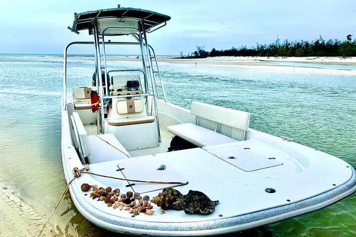 Private Marco Island Boat Tour: Dolphin Watching, Tubing & Shelling in the 10,000 Islands photo 4