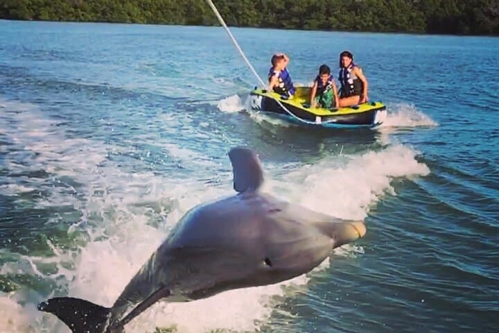 Private Marco Island Boat Tour: Dolphin Watching, Tubing & Shelling in the 10,000 Islands photo 1