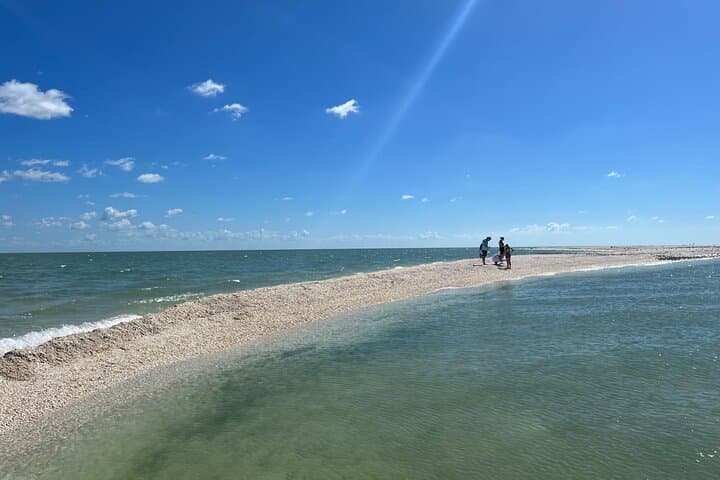Private Marco Island Boat Tour: Dolphin Watching, Tubing & Shelling in the 10,000 Islands photo 2