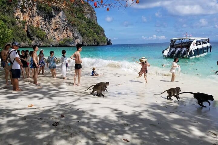 Phi Phi Islands Day Trip: Snorkel Maya Bay, Pileh Lagoon & Seaview Lunch photo 2