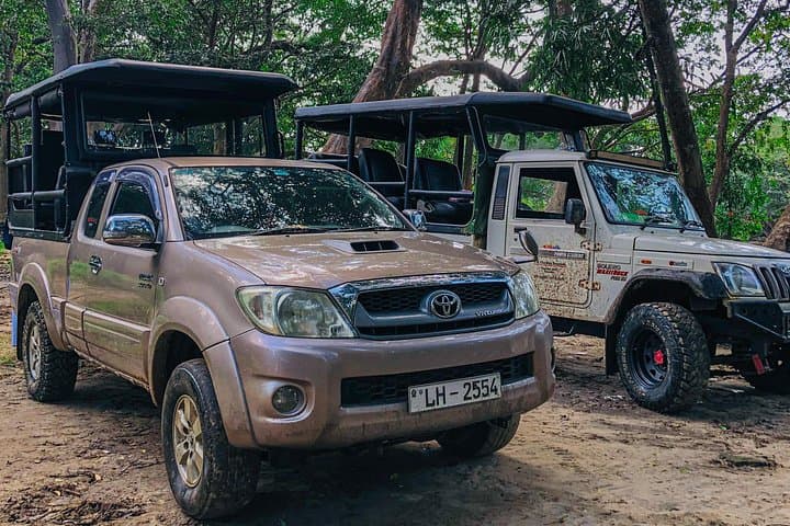 Royal Trails Safari at Kumana National Park — Jeep Wildlife Safari from Arugam Bay