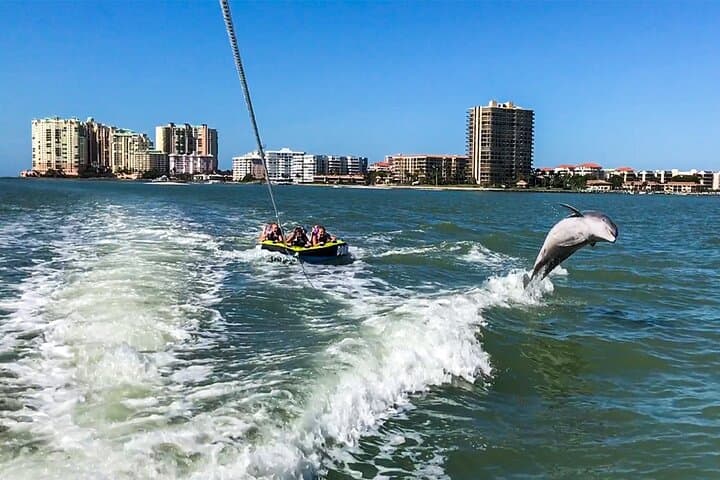 Marco Island Dolphin-Watching and Tubing: 10,000 Islands Wildlife Cruise photo 5