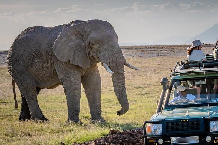 Walking Safari & Game Drive in Arusha National Park — Day Trip Guide photo 4