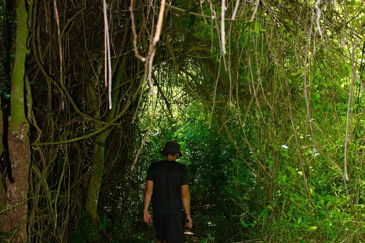 6-in-1-boca-de-yuma-adventure-caves-cenote-river-boat-snorkel photo 3