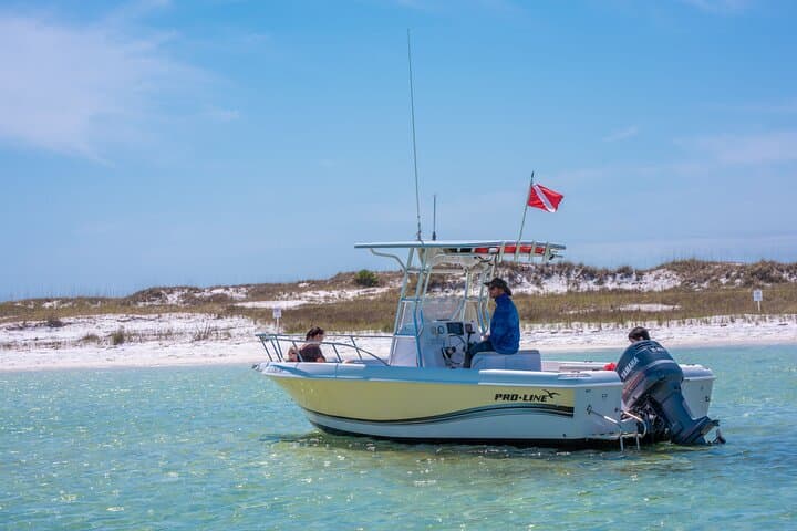 Shell Island 2-Hour Power Boat Tour — Snorkel, Dolphins & Gulf Exploration photo 5