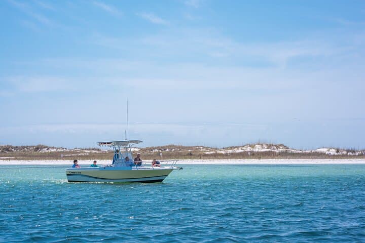 Shell Island 2-Hour Power Boat Tour — Snorkel, Dolphins & Gulf Exploration photo 6