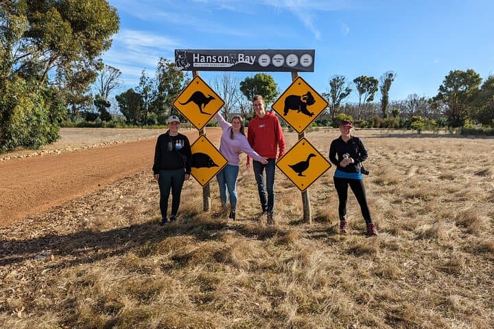 Guided Koala Walk and Bushfire Ecology Tour on Kangaroo Island photo 6