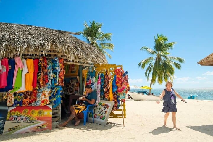 Saona VIP Three Beaches, Natural Pool & Mano Juan Turtle Sanctuary Day Trip