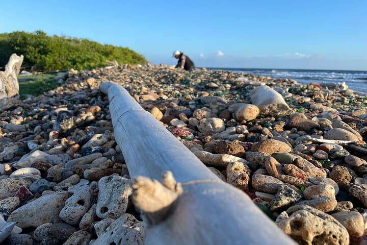 Private Sea Glass Island Kayak Tour: Morning Paddle from San Nicolas, Aruba photo 4