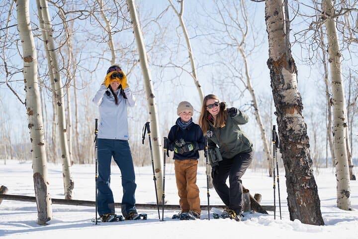 Private 4-Hour Snowshoe Tour in Grand Teton National Park photo 1