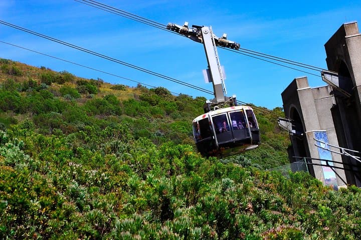 Half-Day Table Mountain and Boulders Beach Penguin Tour — Cable Car, Chapman's Peak Scenic Drive photo 2