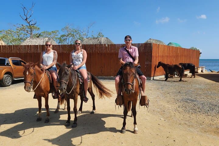Roatán Adventure Combo: Horseback, ATV & Jungle Zipline in One Day