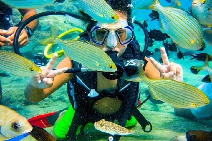Scuba Diving in Marmaris & Icmeler: Two Dives with Lunch and Transfer photo 2