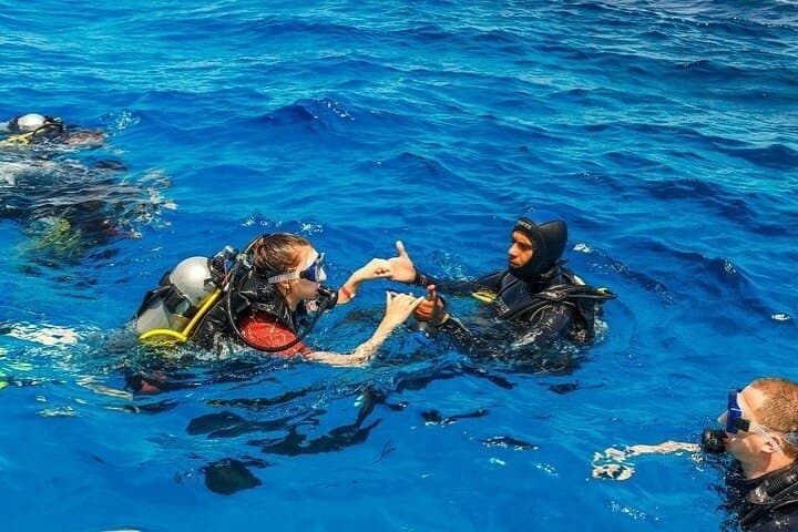 Scuba Diving in Marmaris & Icmeler: Two Dives with Lunch and Transfer photo 6