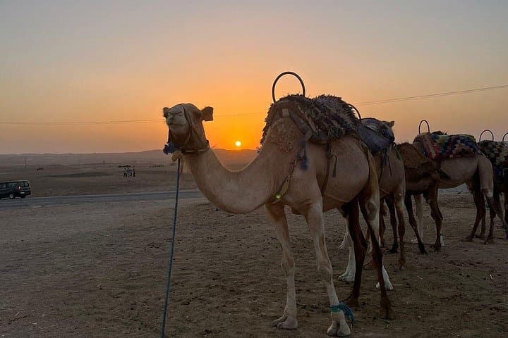 Full-Day 4x4 to Agafay Desert and Lalla Takerkoust Lake from Marrakech photo 3