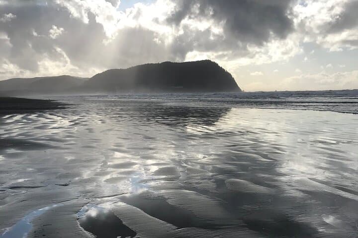 Oregon Coast Scenic Day Tour: Astoria to Cannon Beach and Ecola State Park