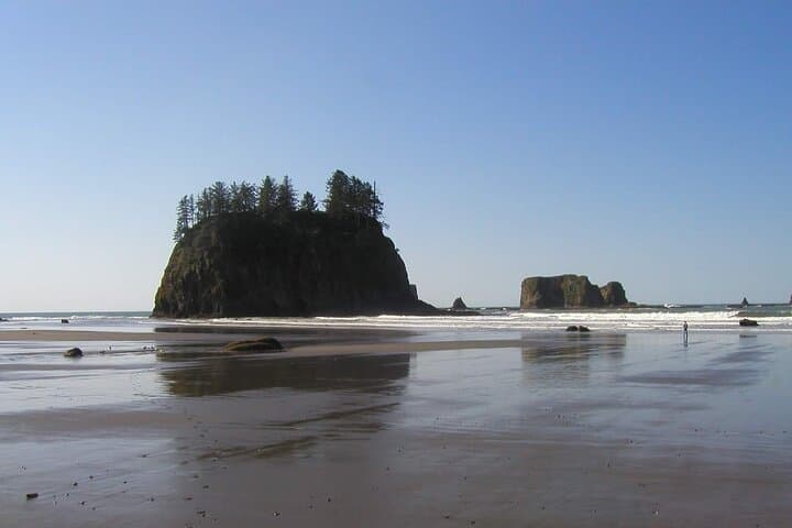 Oregon Coast Scenic Day Tour: Astoria to Cannon Beach and Ecola State Park photo 6