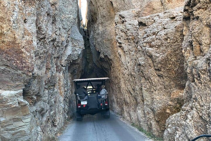 Jeep Bison Safari at Custer State Park — Full-Day Wildlife & Needles Highway Tour photo 6