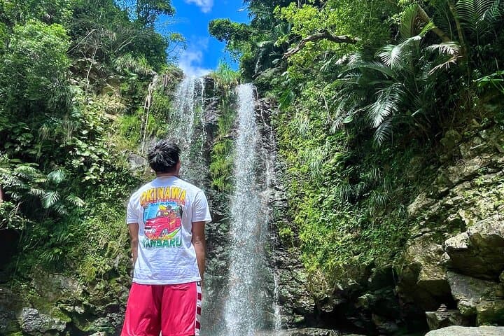 Private Okinawa Cultural and Coastal Tour - 7-Hour Custom Day Trip from Naha photo 1