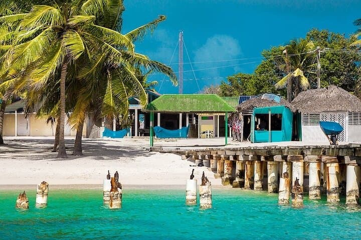 Full-Day Catalina Island Snorkeling from Punta Cana — Catamaran, Reefs & Private Beach photo 2