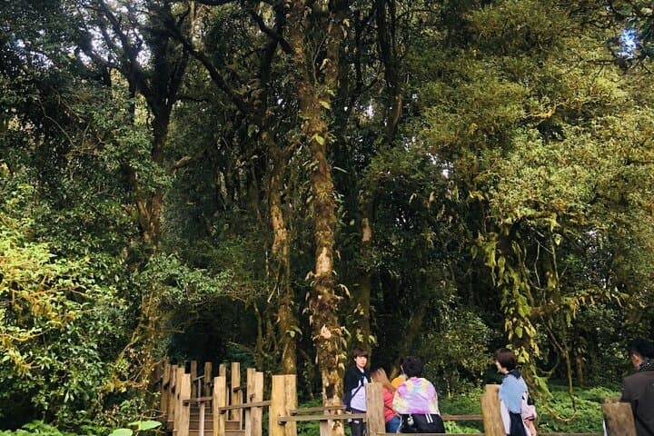 Chiang Mai Doi Suthep Private Day Tour — Temple, Trails & Waterfalls photo 5