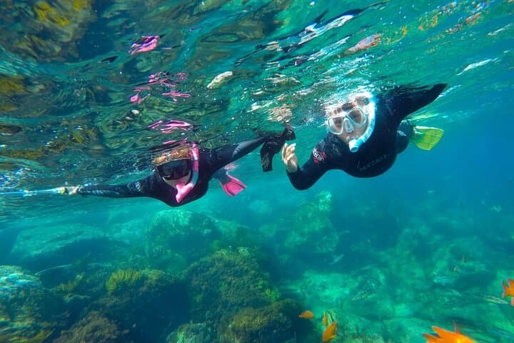 Full-Day Catalina Island Snorkeling from Punta Cana — Catamaran, Reefs & Private Beach photo 4
