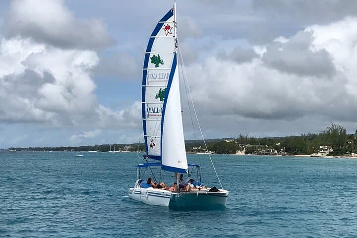 Barbados Small-Group Snorkel & Sail in Carlisle Bay — Turtles, Wrecks & Rum Punch