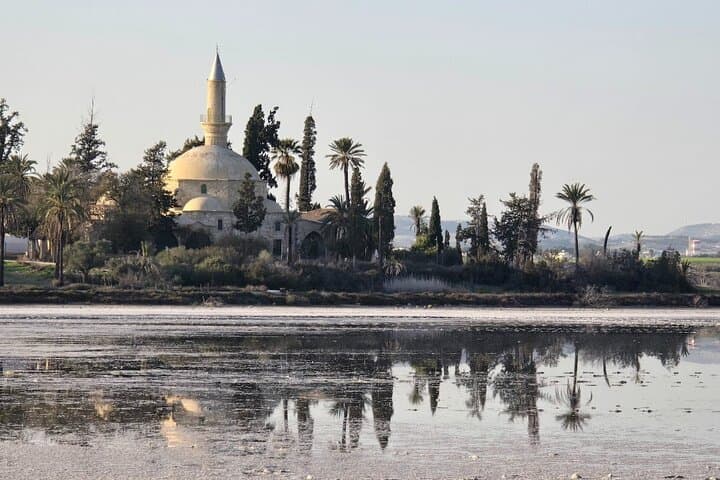 Larnaca Salt Lake, Hala Sultan Tekke & Fort: Half-Day Private Tour