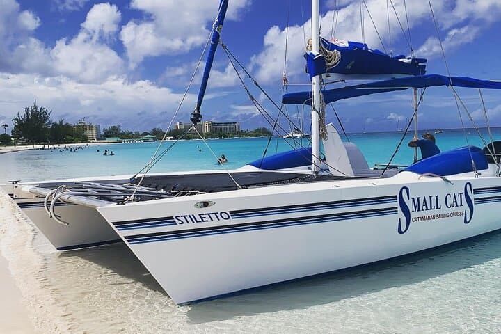 Barbados Small-Group Snorkel & Sail in Carlisle Bay — Turtles, Wrecks & Rum Punch photo 6