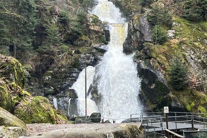 Rhine Falls and Black Forest Private Day Tour from Zurich — Triberg, Titisee & Rheinfall
