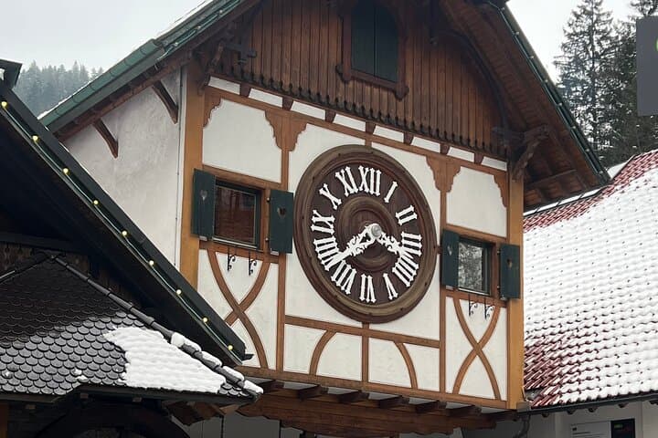 Rhine Falls and Black Forest Private Day Tour from Zurich — Triberg, Titisee & Rheinfall photo 6