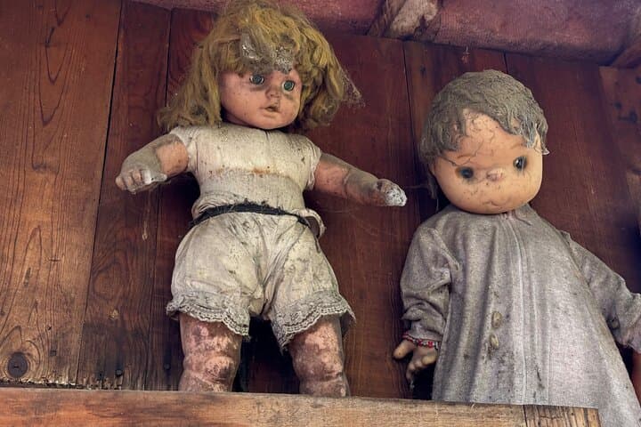 Xochimilco Canals Boat Tour: Doll Island & Ajolote (Axolotl) Shrine photo 5