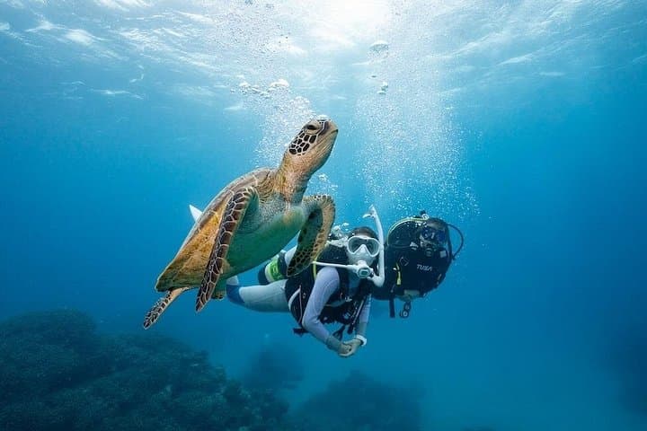 Zakynthos Scuba Diving at Turtle Island & Keri Caves — Guided Dives with Photos photo 2