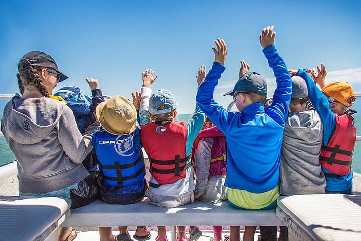 Ten Thousand Islands Dolphin & Shelling Cruise from Goodland (Marco Island) photo 2