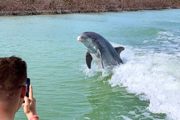 Ten Thousand Islands Dolphin & Shelling Cruise from Goodland (Marco Island) photo 3