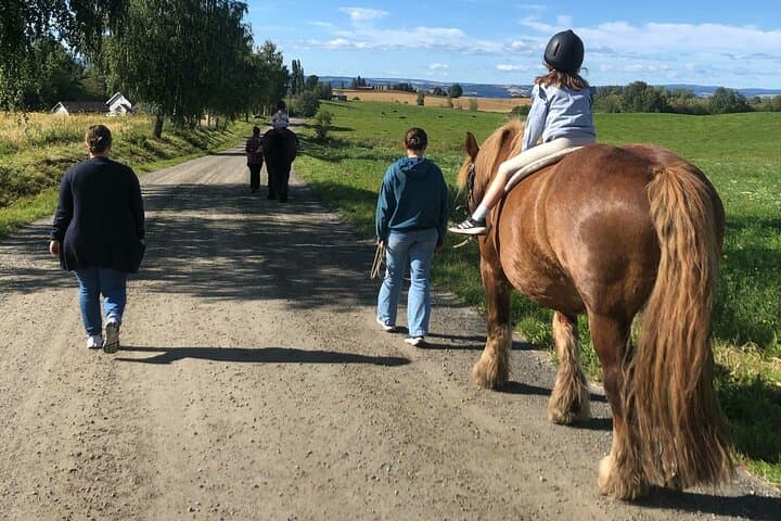 Children's Horseback Riding at Fokhol Gård — Gentle Farm Rides Near Lillehammer