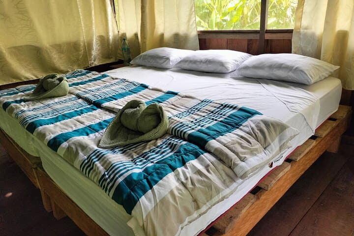 Amazon Rainforest Adventure: 5-Day Iquitos Expedition for Pink Dolphins & Night Safaris photo 4