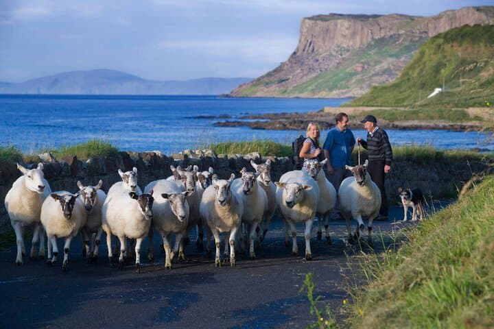 Connemara & Galway: 2-Day Wild Atlantic Way Private Highlights Tour photo 5