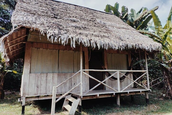 Amazon Rainforest Adventure: 5-Day Iquitos Expedition for Pink Dolphins & Night Safaris photo 5