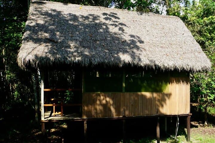 Amazon Rainforest Adventure: 5-Day Iquitos Expedition for Pink Dolphins & Night Safaris photo 6
